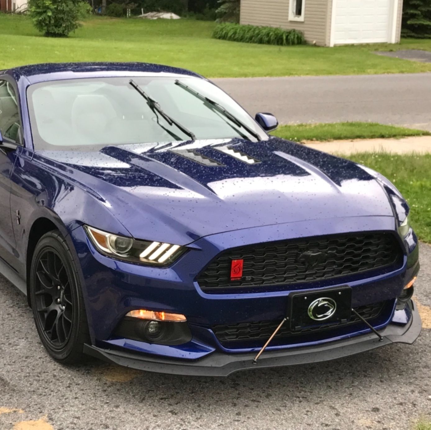 Profile of Theo Shomsky