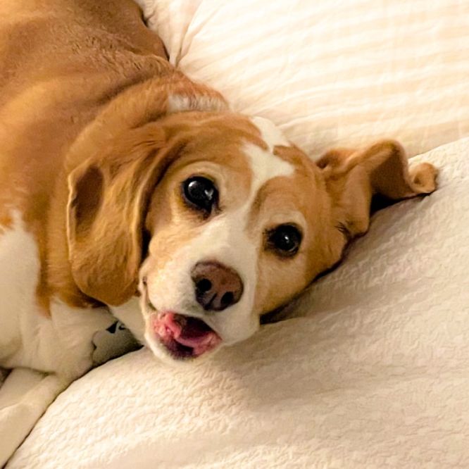 Profile of Leif Johanson