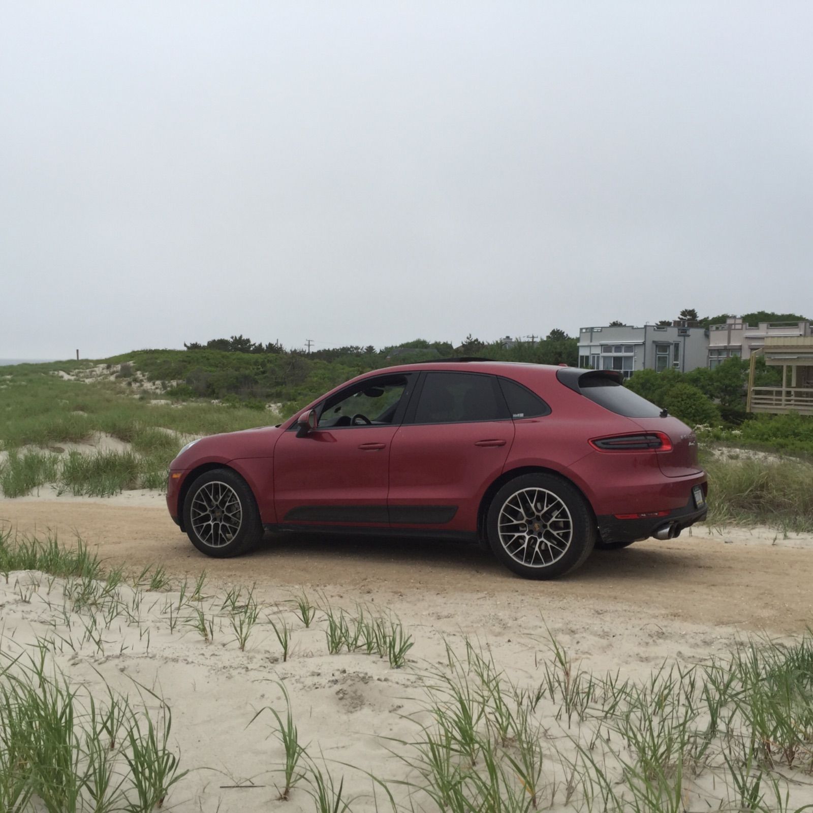 Profile of Peter Hansen