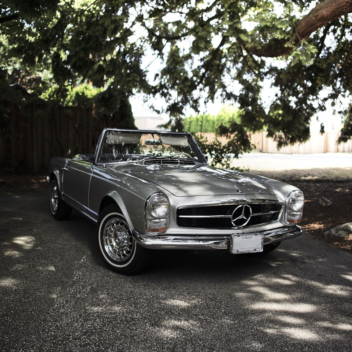 Profile of Mark Block