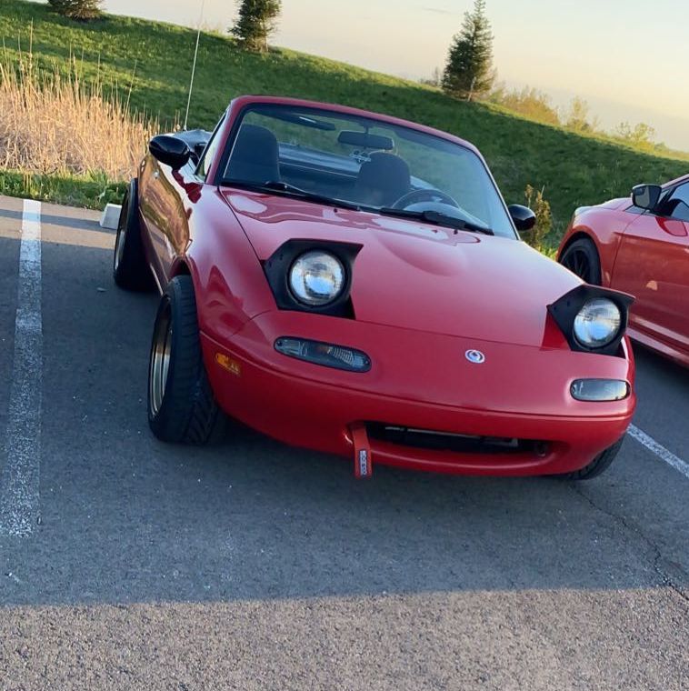 Profile of Joey Morgan