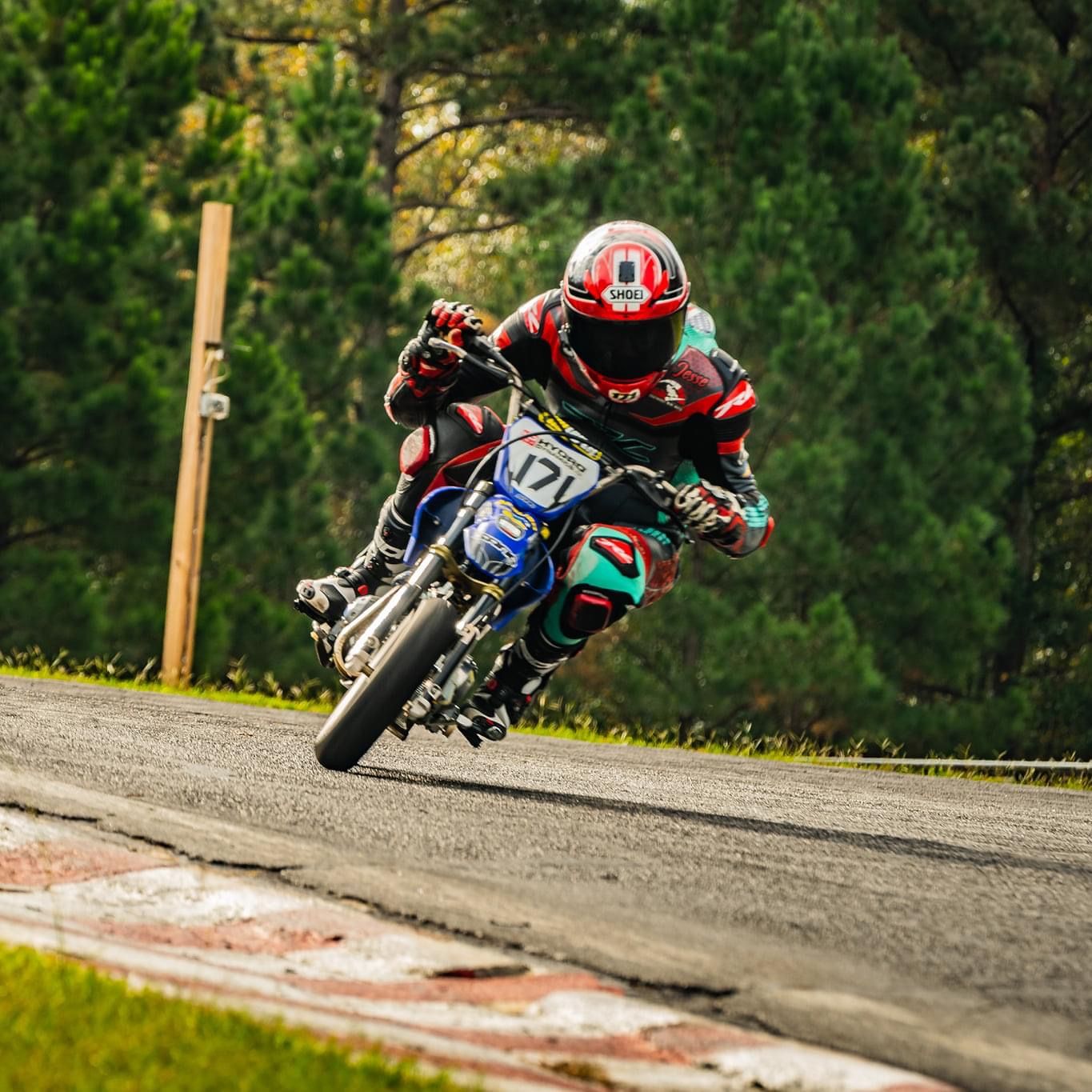 Profile of Jesse Berwick