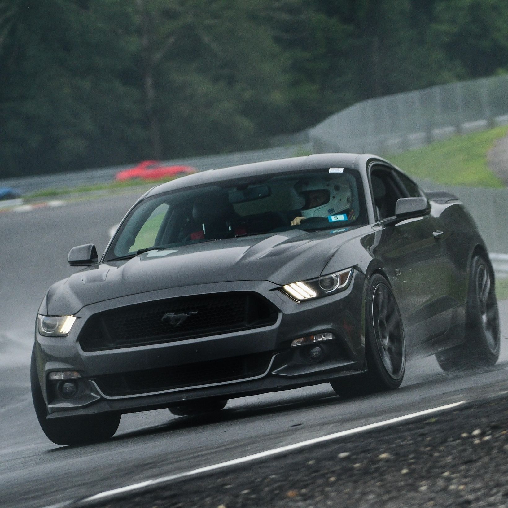 Profile of Jason Settineri