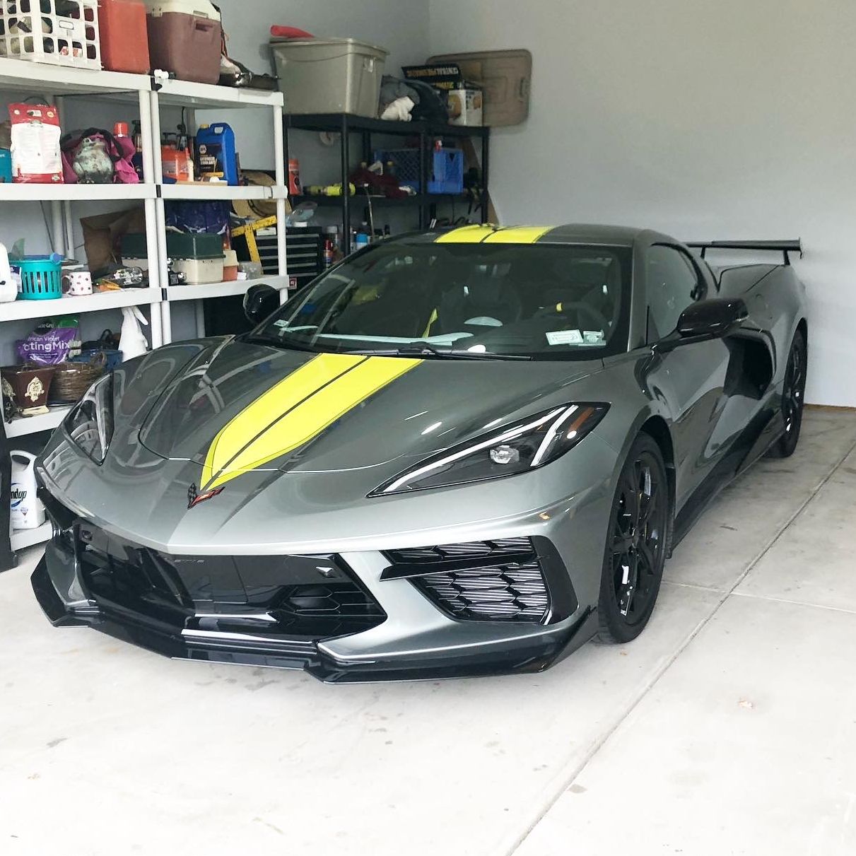 Profile of Robert Nelson