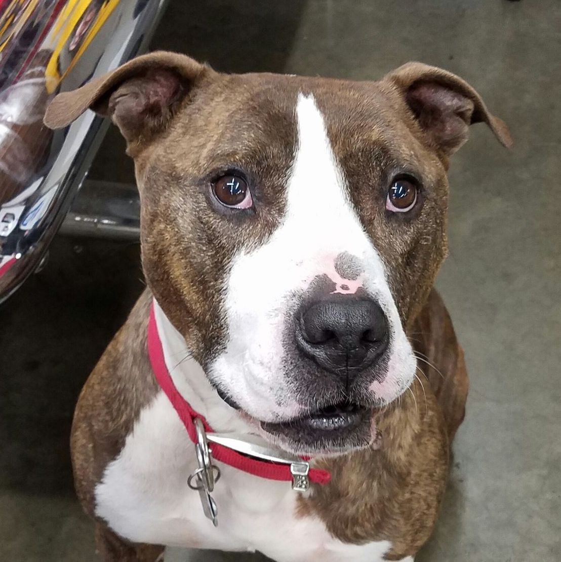 Profile of Bentley Macdonald