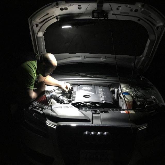 Profile of Bear Garnier