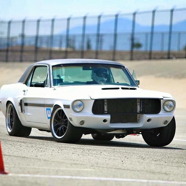 Profile of Joe Parks