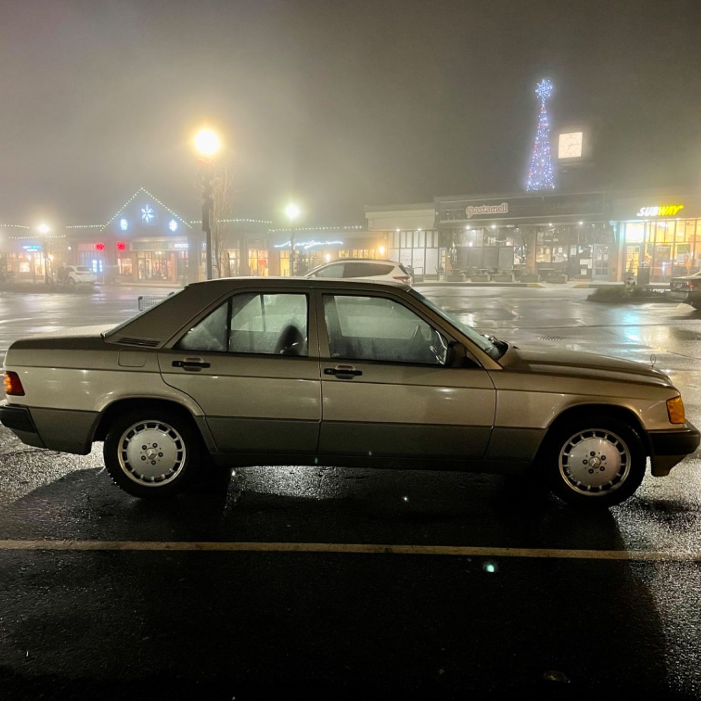 Profile of Salomon Vainer