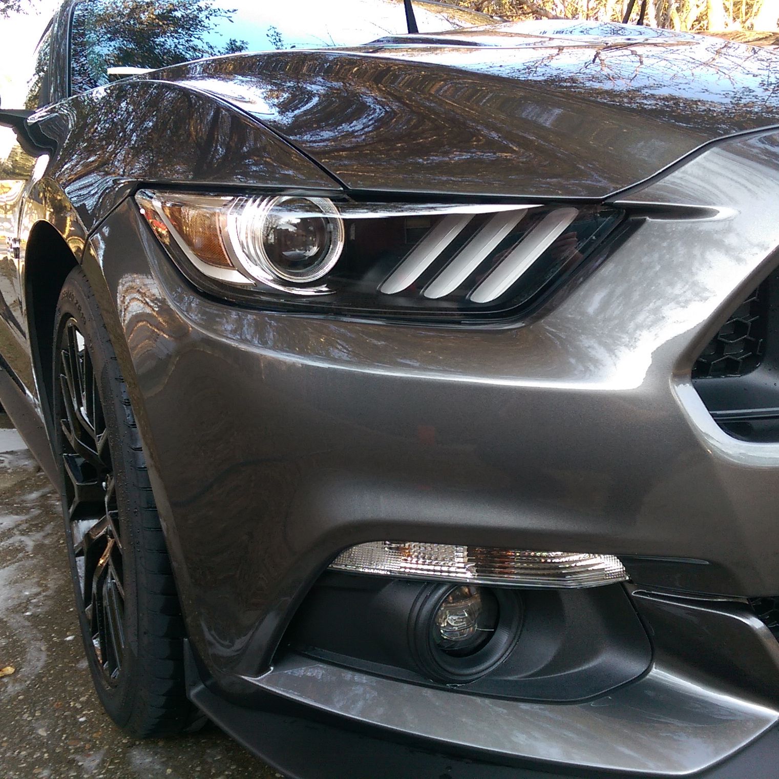 Profile of Andrew Smith