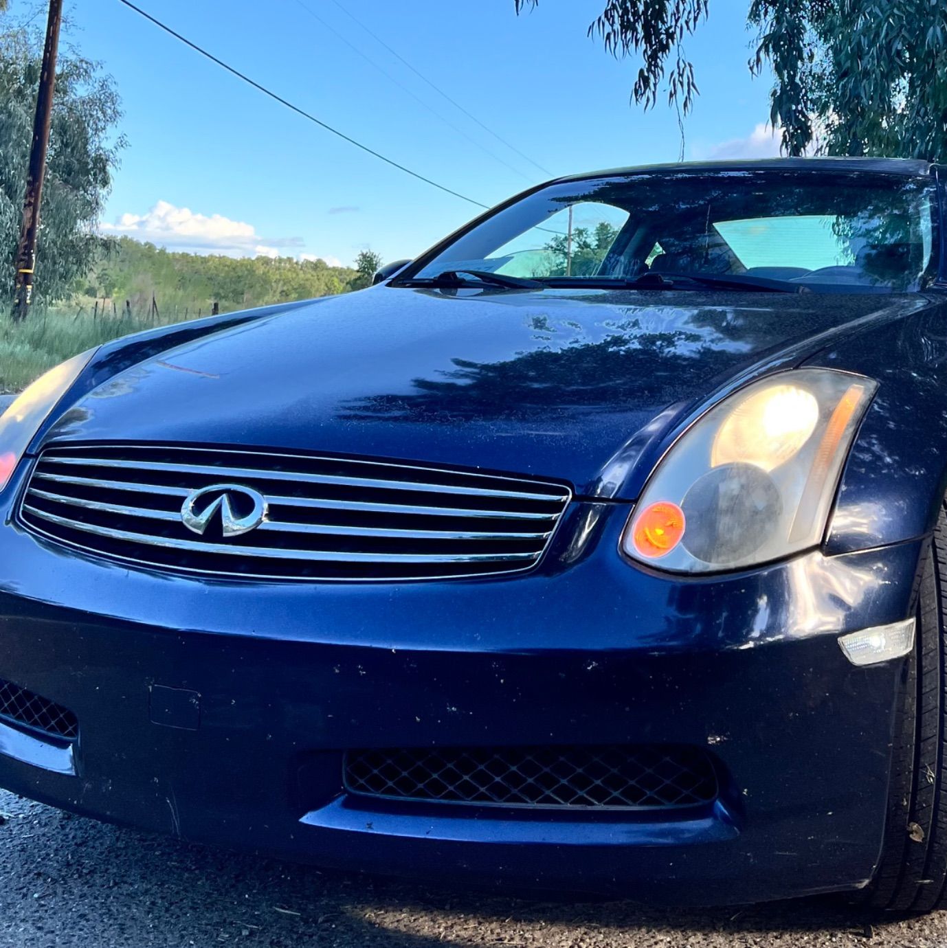 Profile of Amber Macchiarella