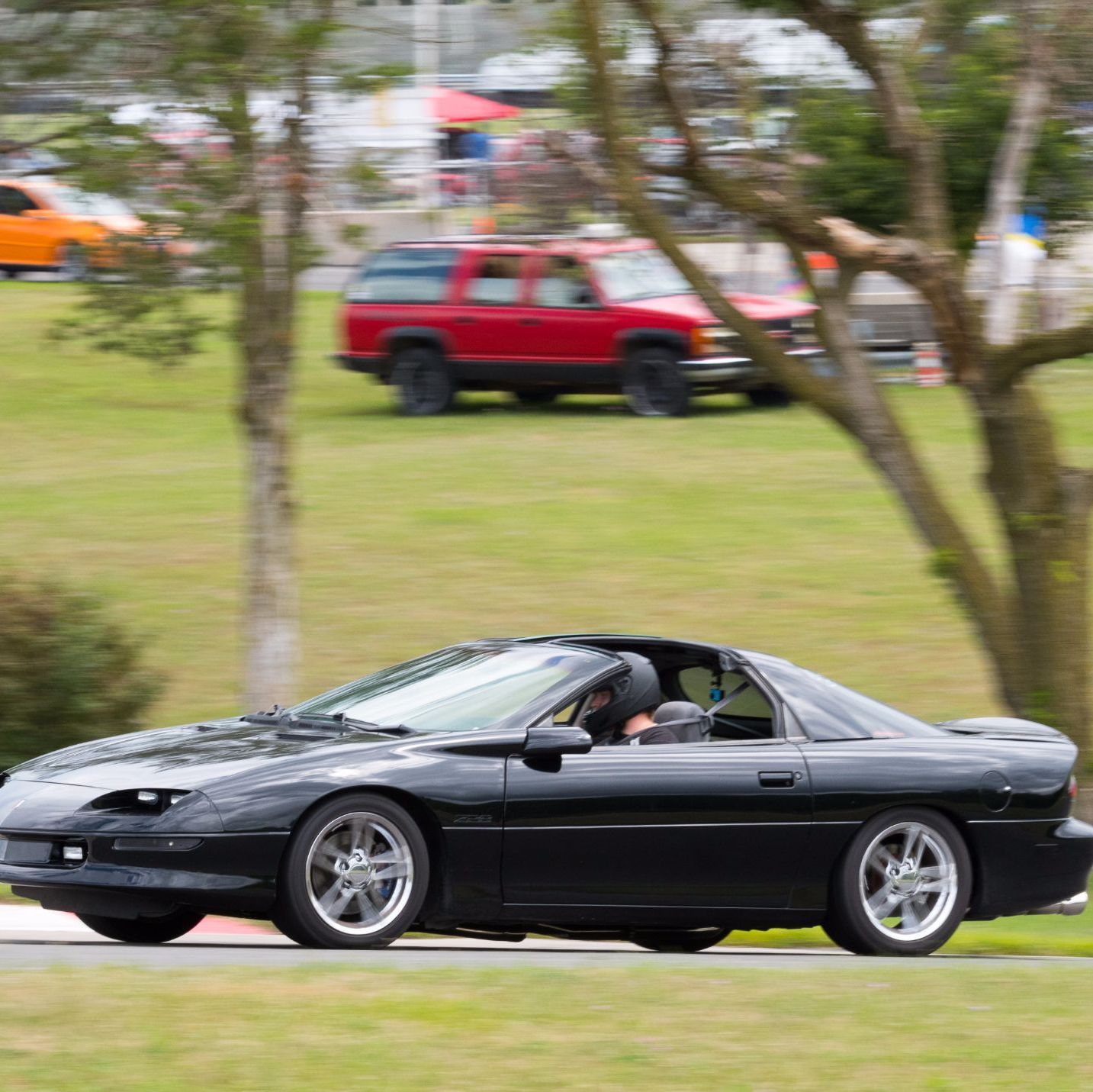 Profile of Daniel Dalessandro