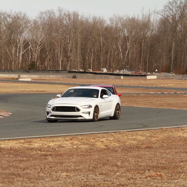 Profile of Kyle Adams