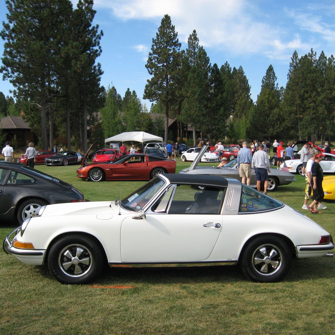 Profile of Chuck Hervey