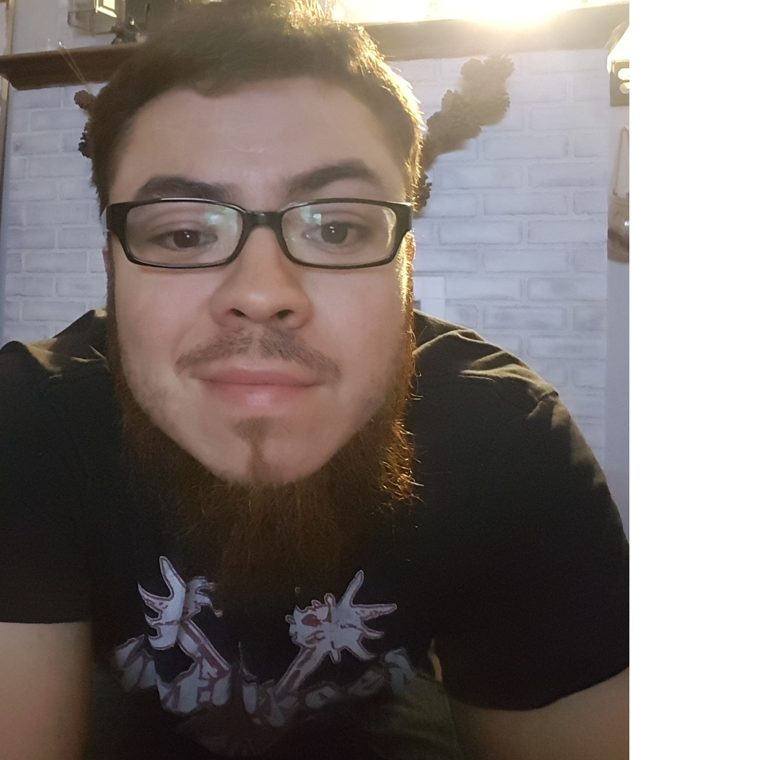 Profile of Mark Torres
