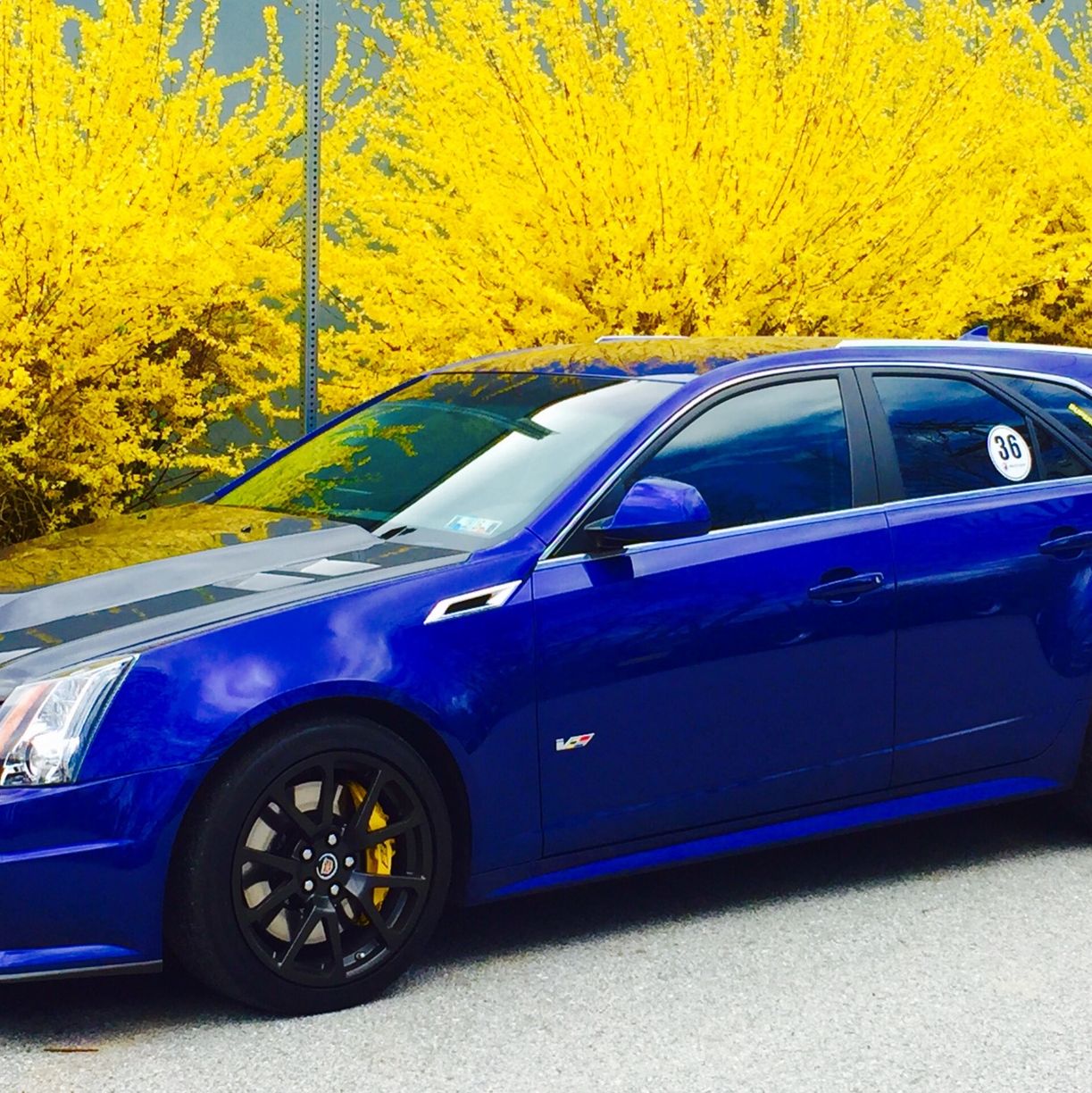 Profile of Ryan Bailey