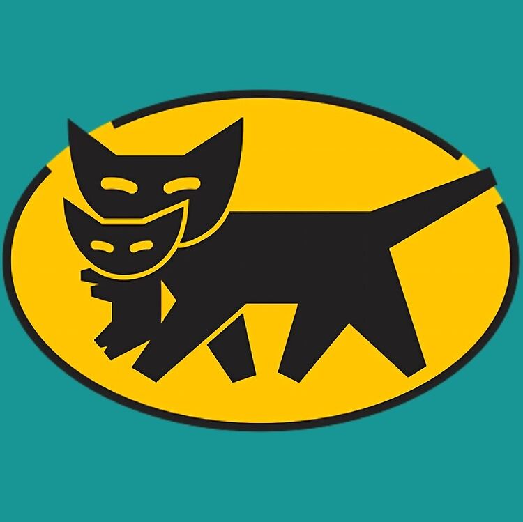 Profile of Chris Kory