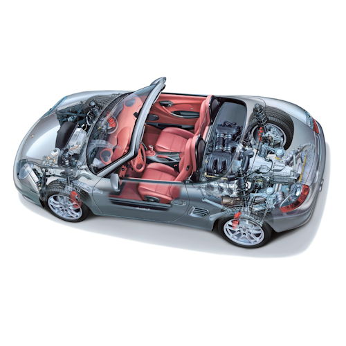 Profile of Greg Hauck