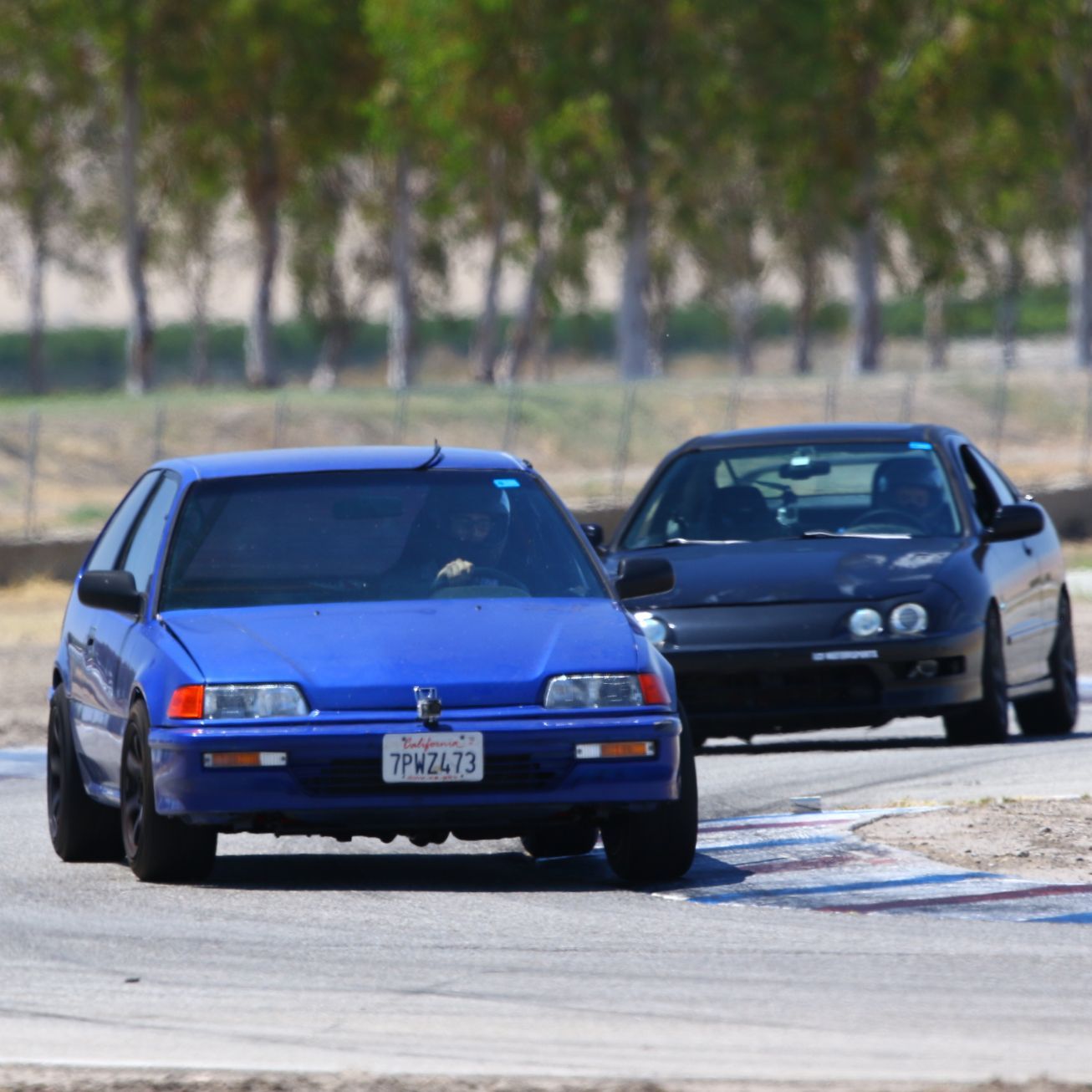 Profile of Daniel Navarro