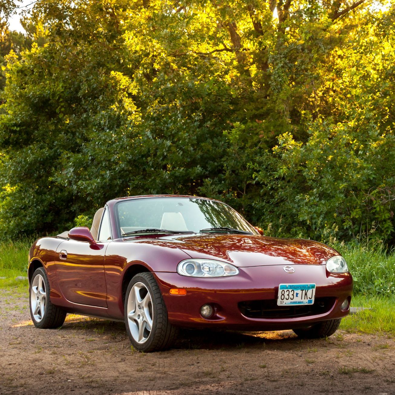 Profile of Trevor Schliep