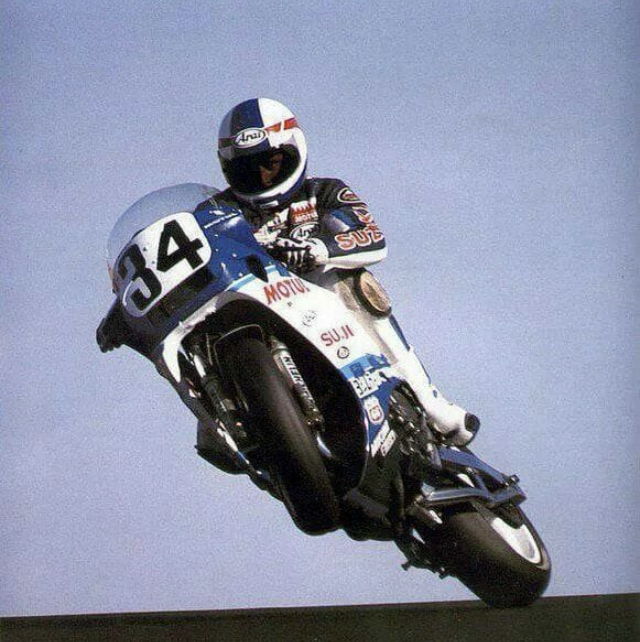 Profile of Darcey Shaw