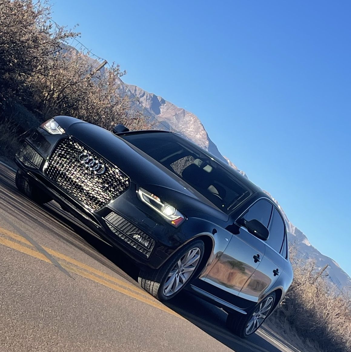 Profile of David Spark