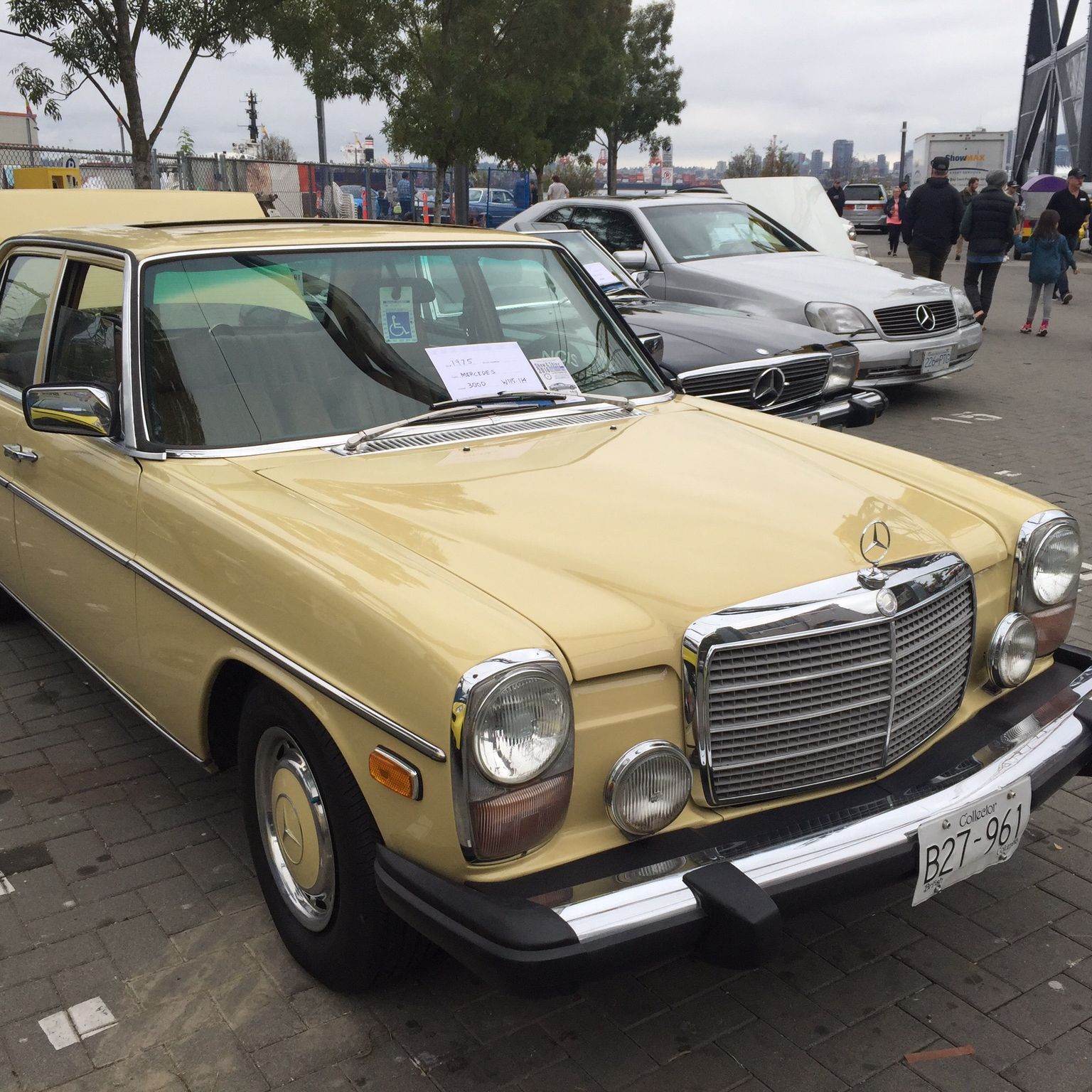 Profile of Victoria Chan-Ross