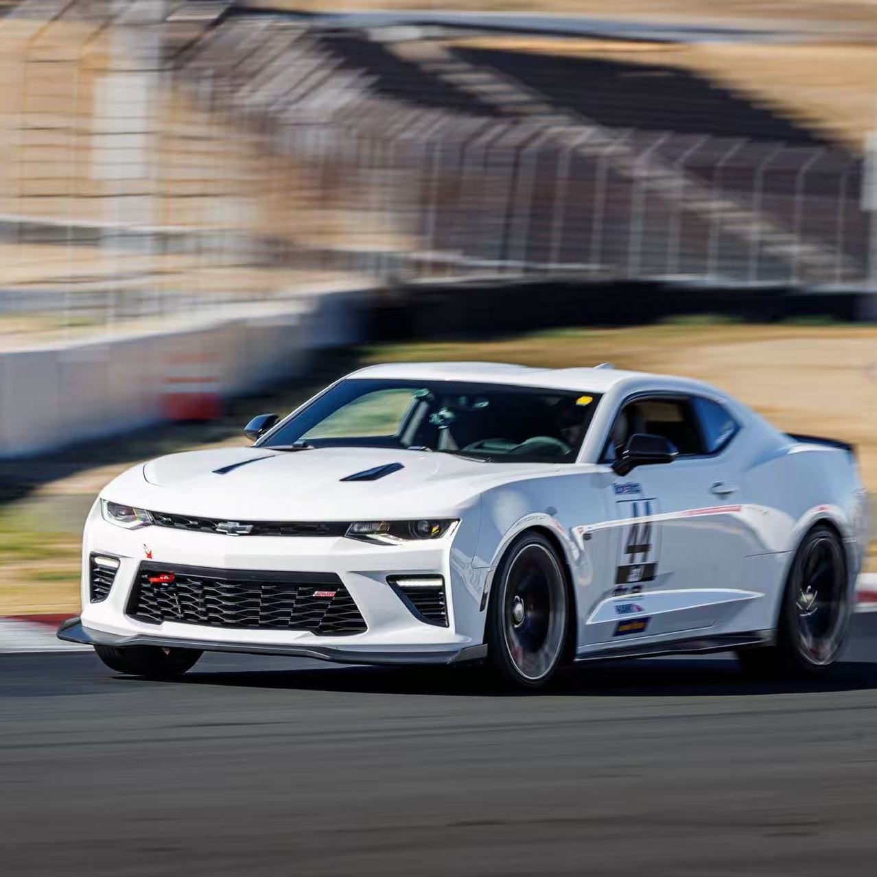 Profile of Zhonghao Yang