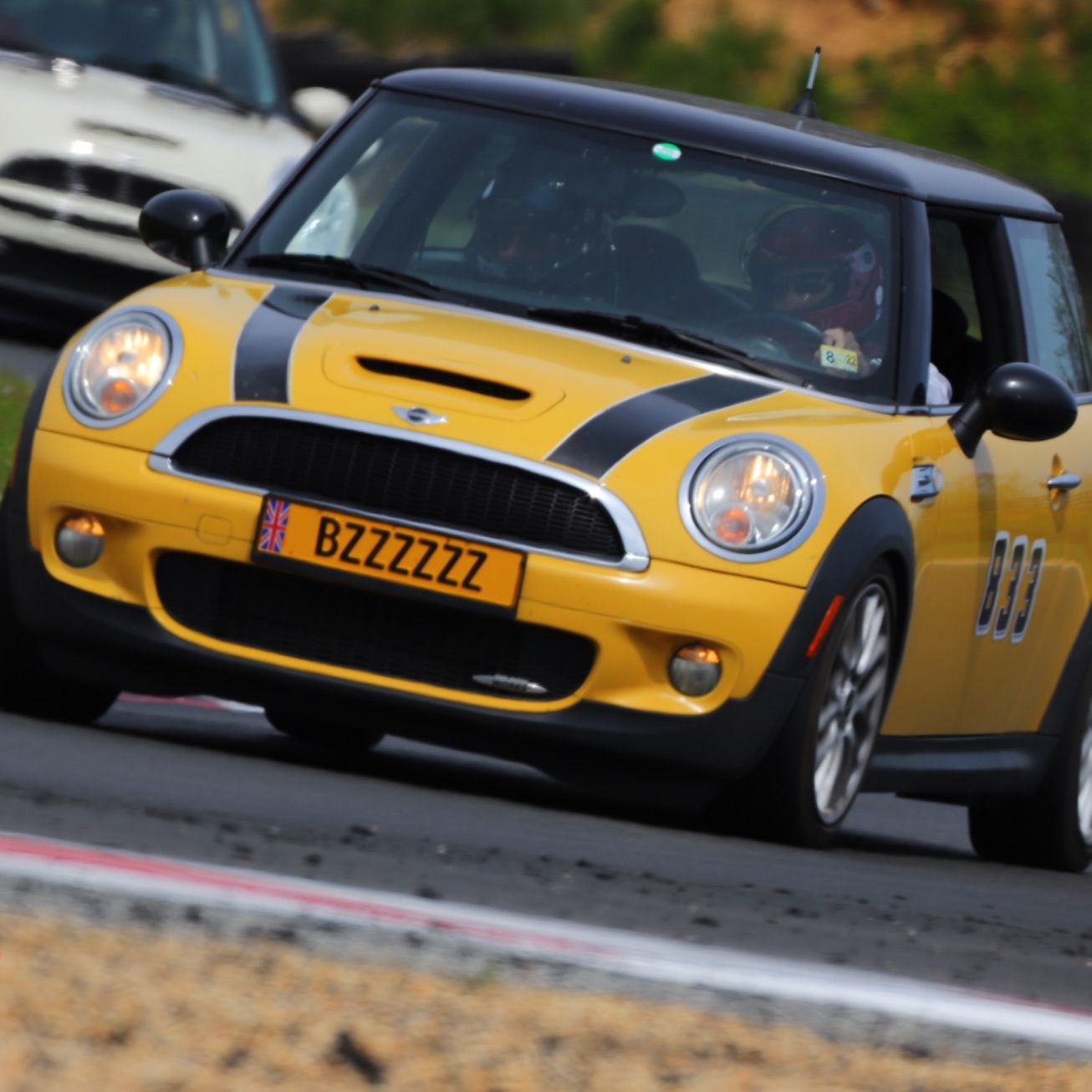 Profile of Meredith Adams