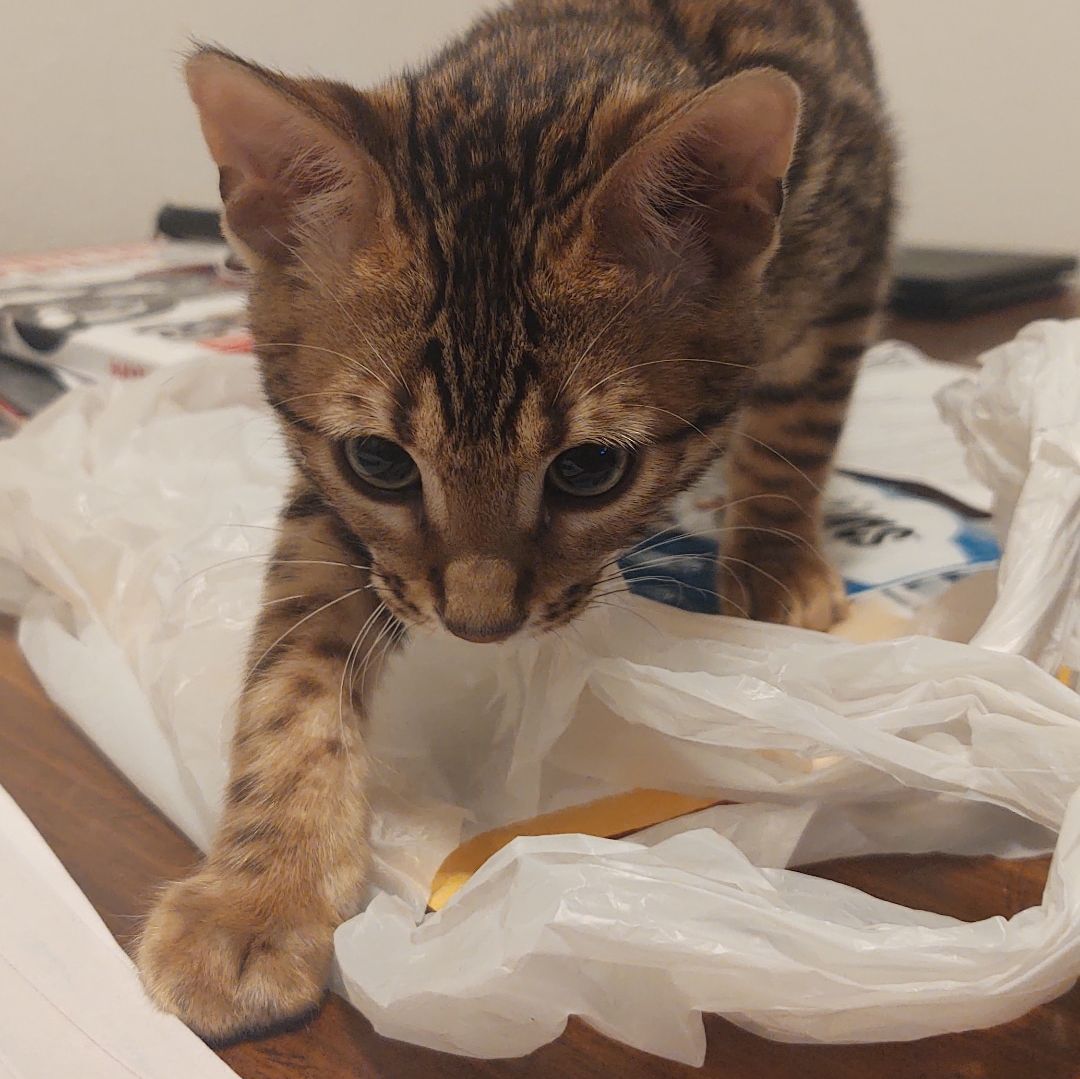 Profile of Oso Grande