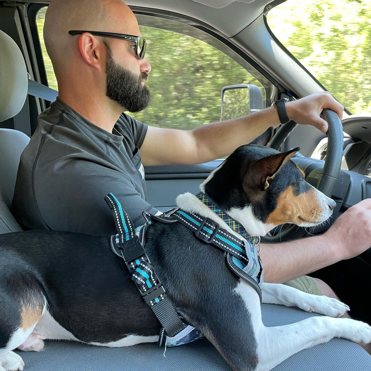 Profile of Jason Gould