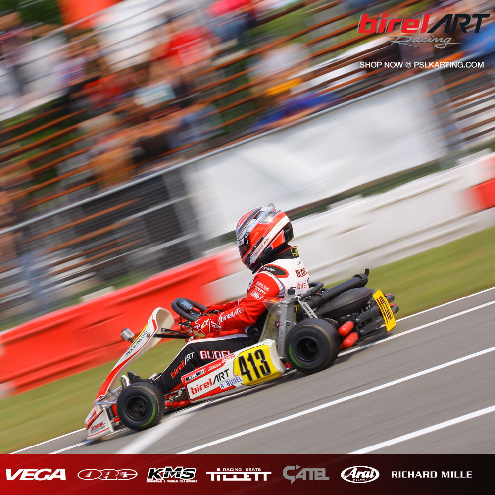 Profile of Alexis Budel