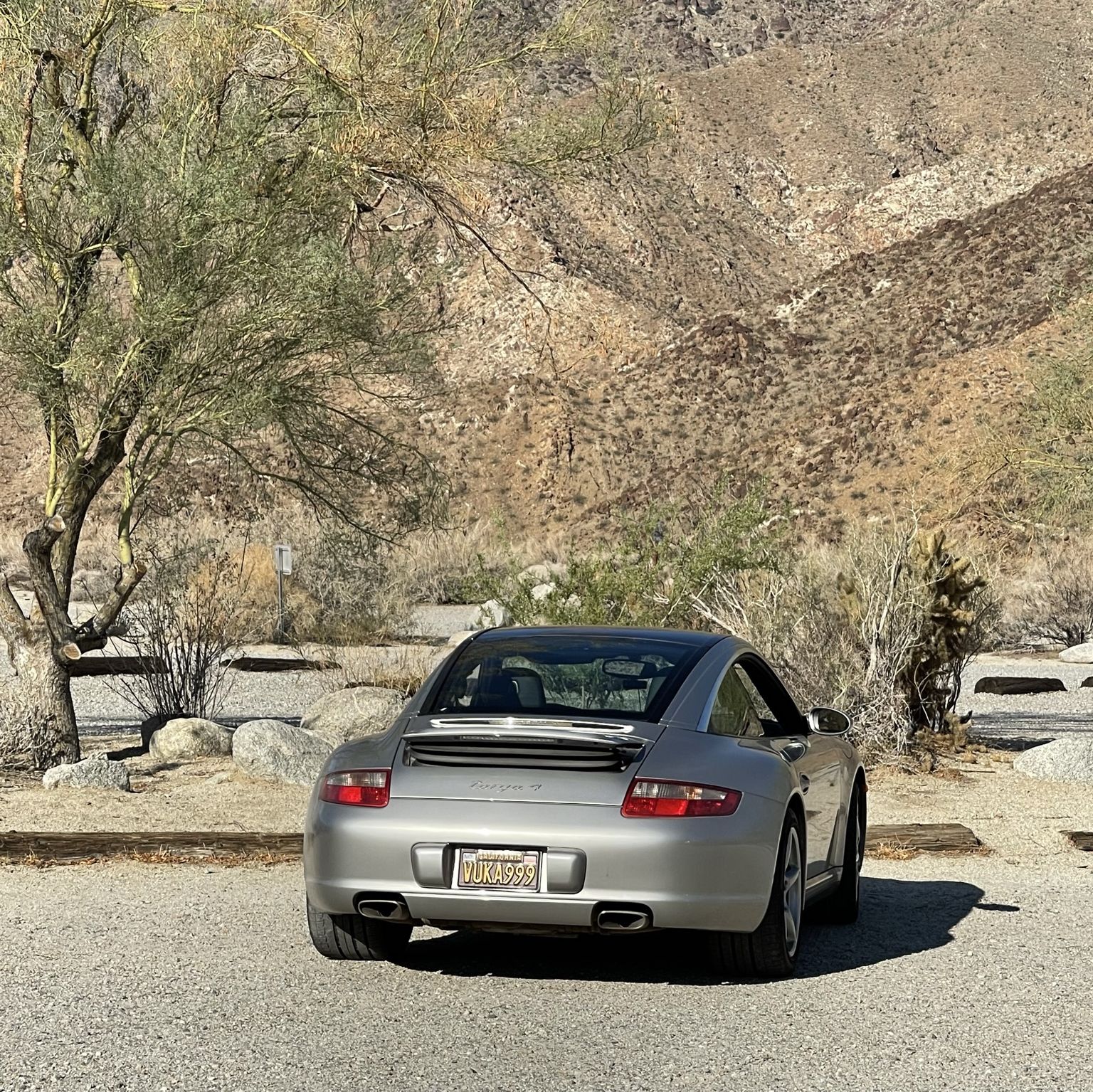 Profile of Milan Maletic