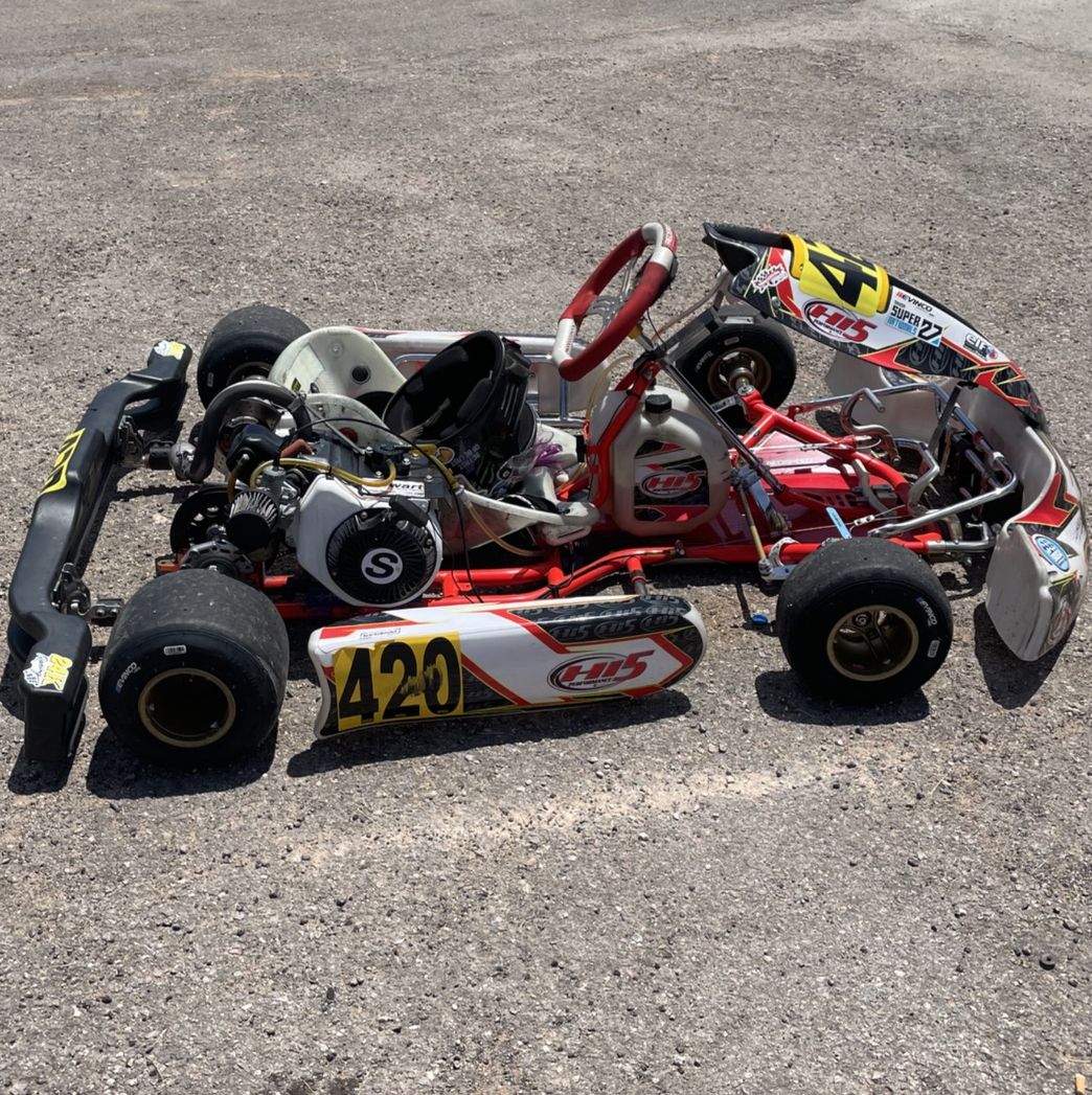 Profile of Piper Everett