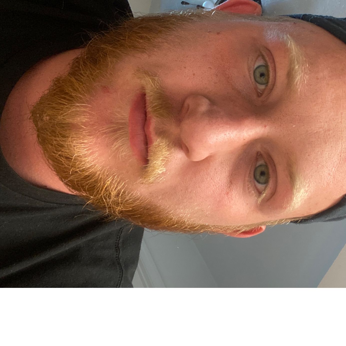 Profile of Daniel Snyder