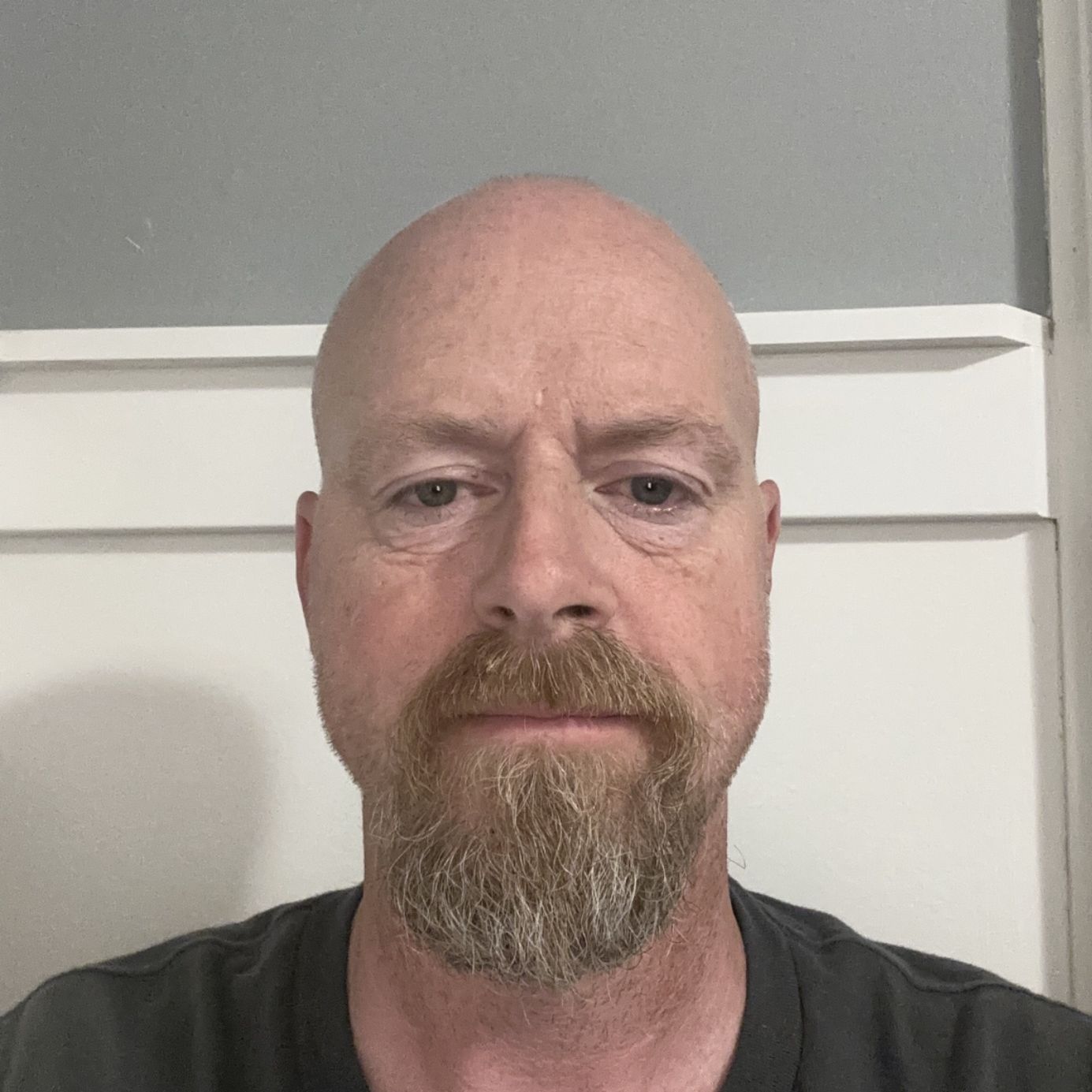 Profile of David Evans