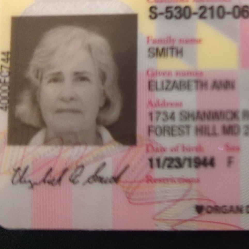 Profile of Lizanne Smith