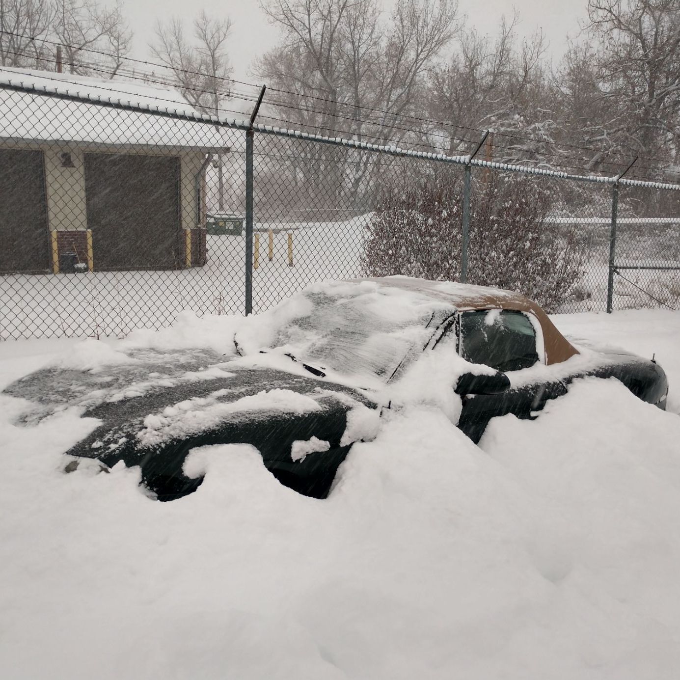 Profile of Mike Smith