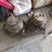 Profile of Craig Thatcher