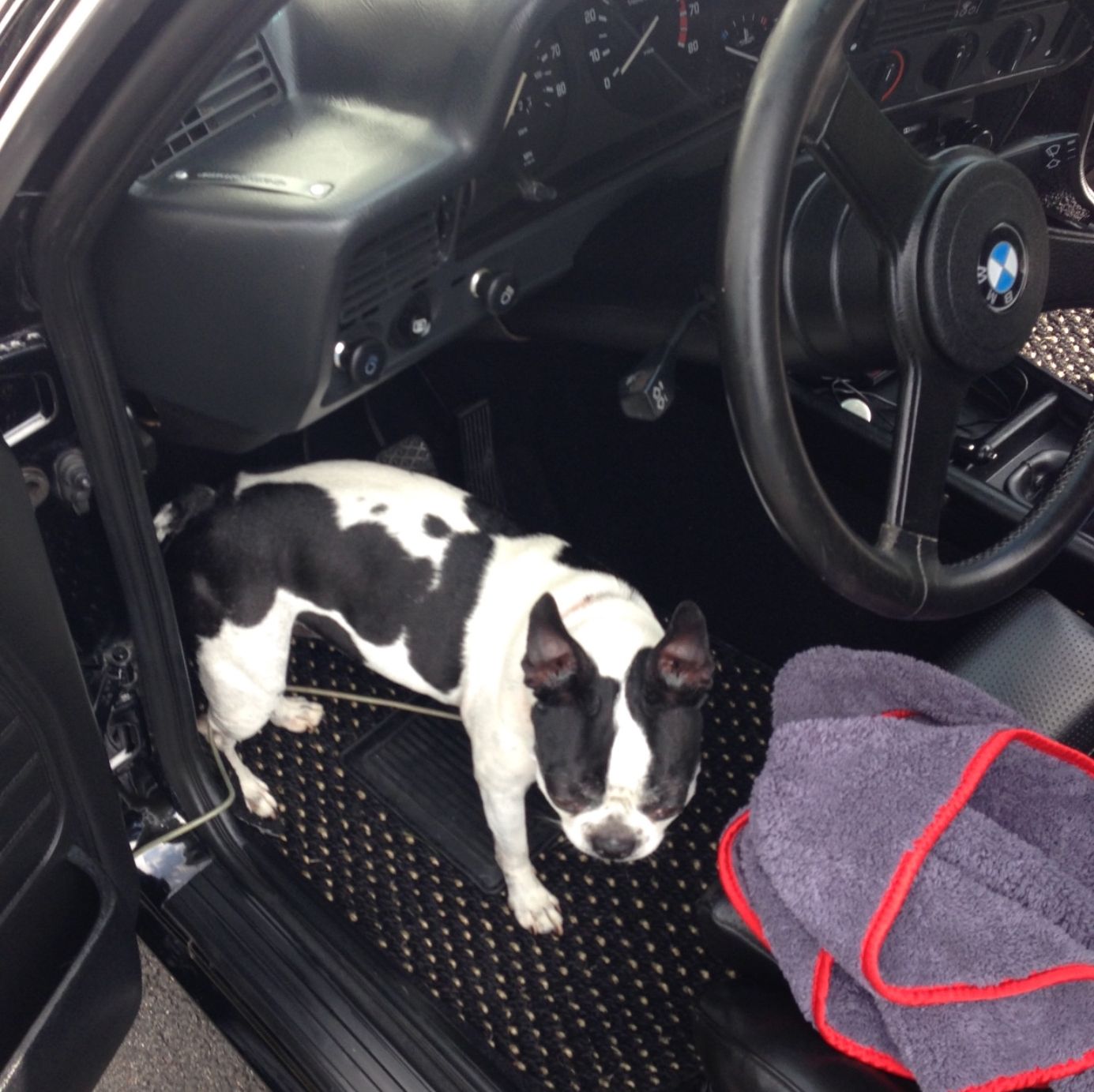 Profile of Aaron Weaver