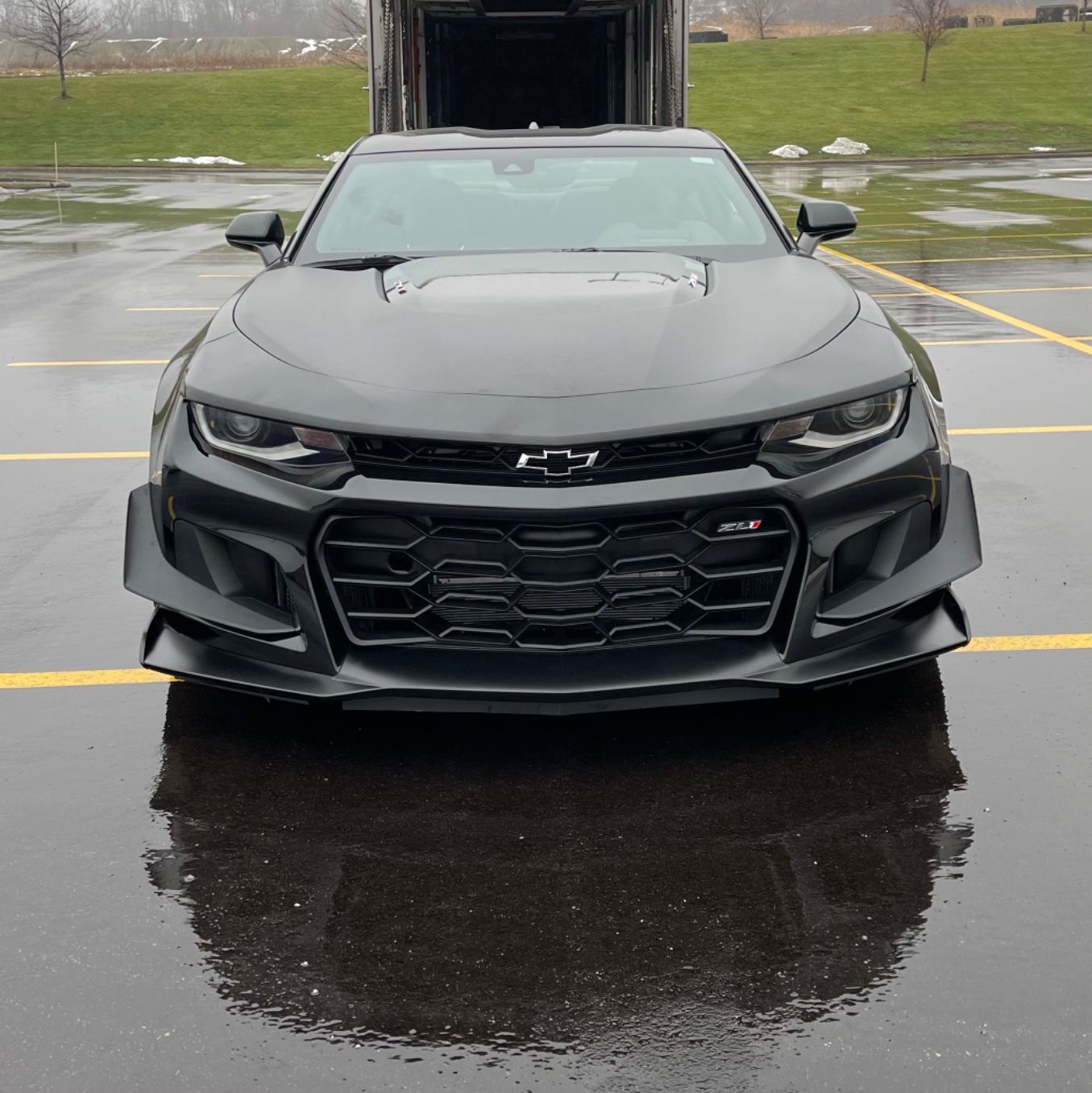 Profile of Piotr Golebiewski