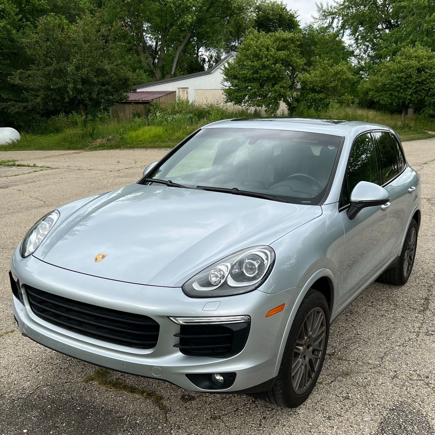 Profile of Greg Martin