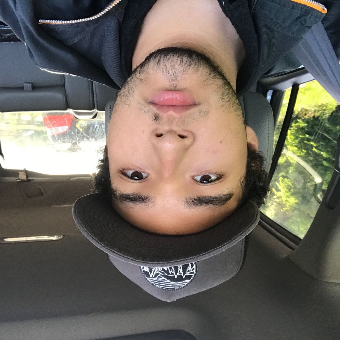 Profile of Adrian Pissarouk