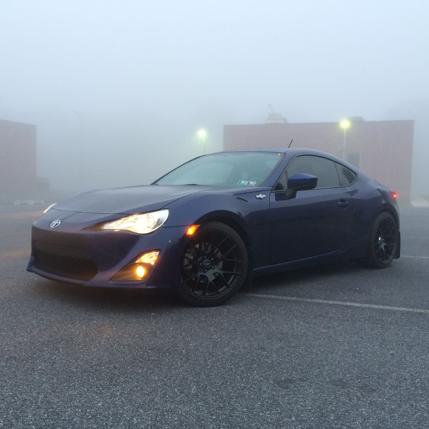 Profile of Dominic Volpe