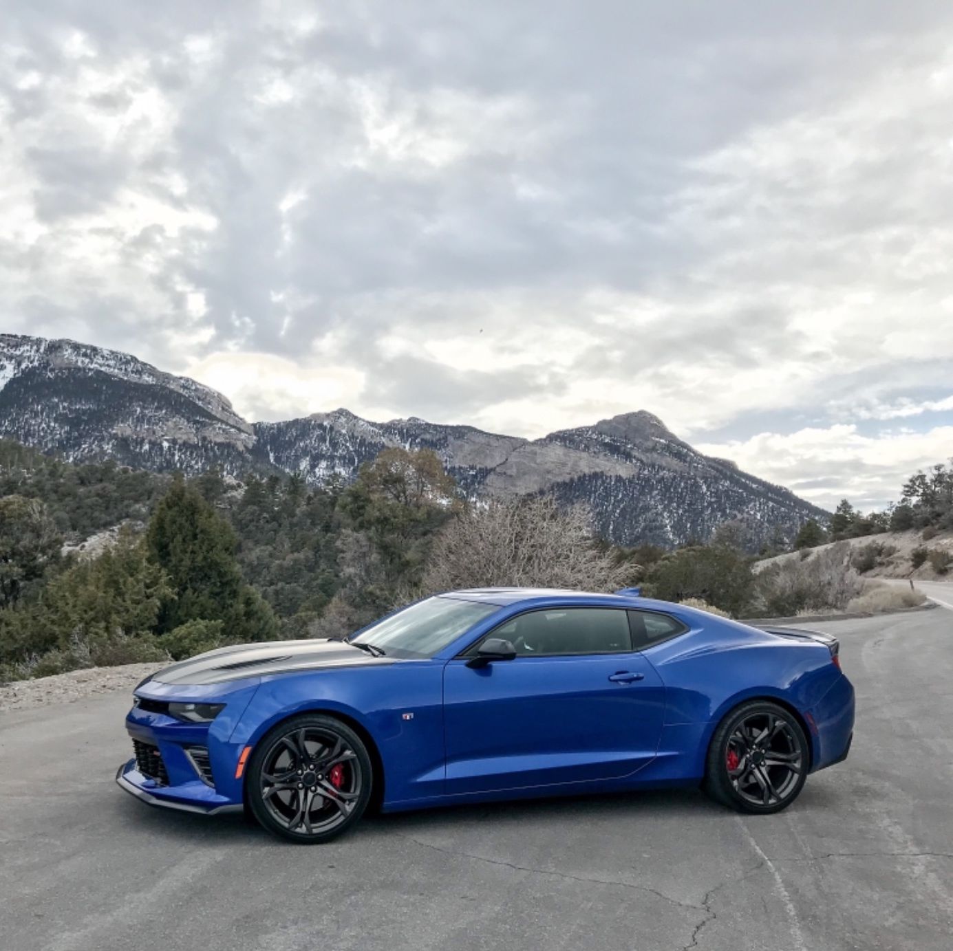 Profile of Tyler Broder