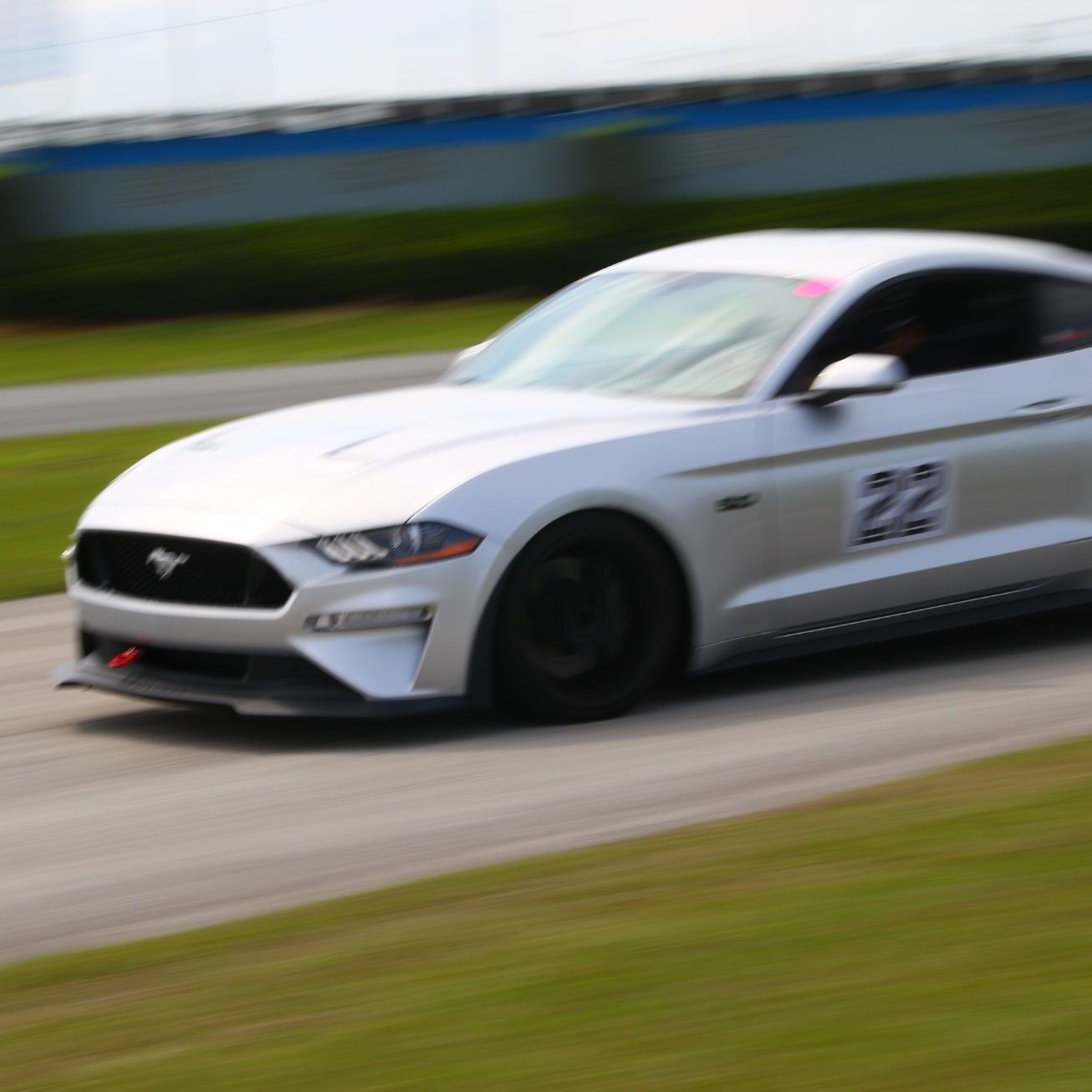 Profile of John Frizzell