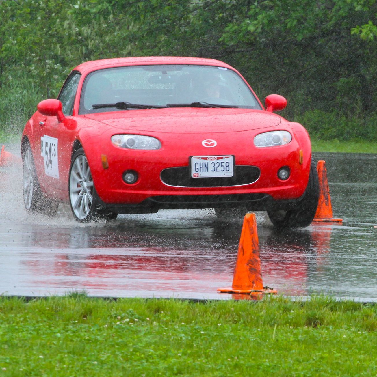 Profile of Michael Rotolo