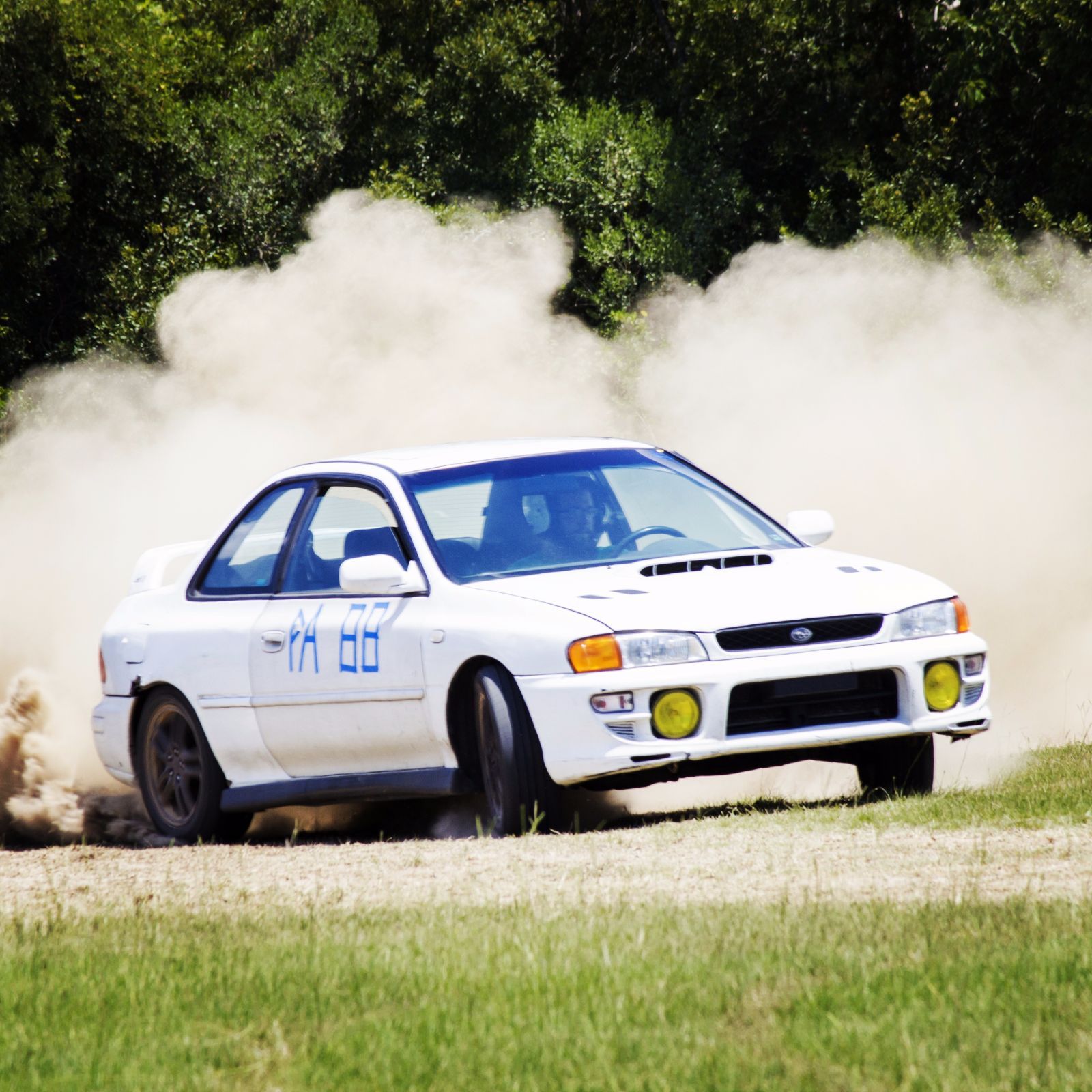 Profile of Justin Allen