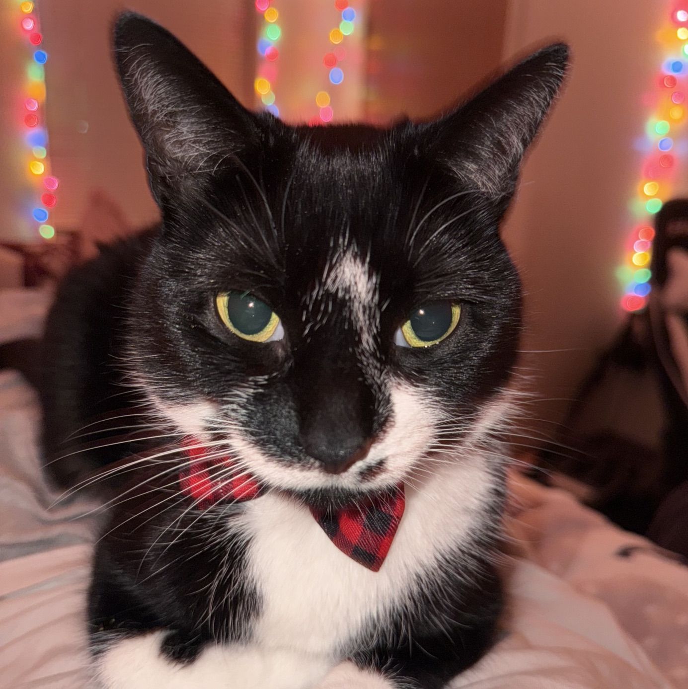 Profile of Sebastian Lerma