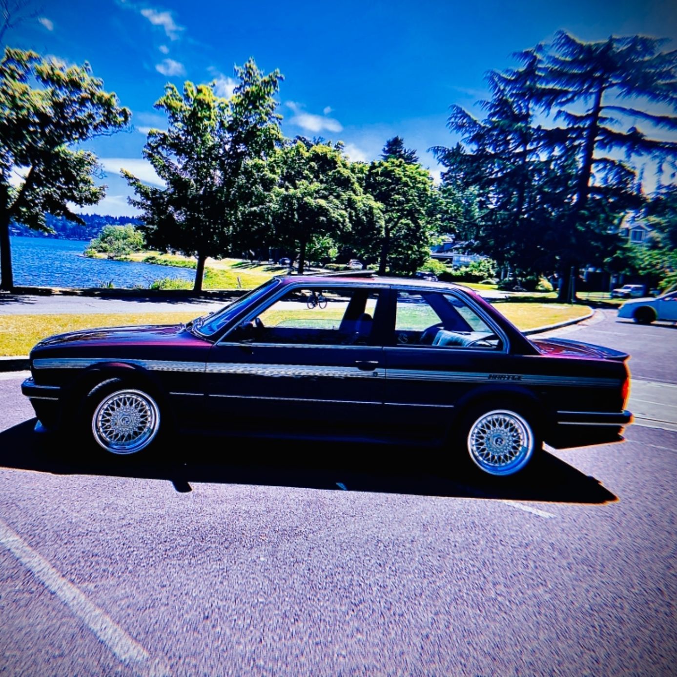 Profile of Logan Accardo