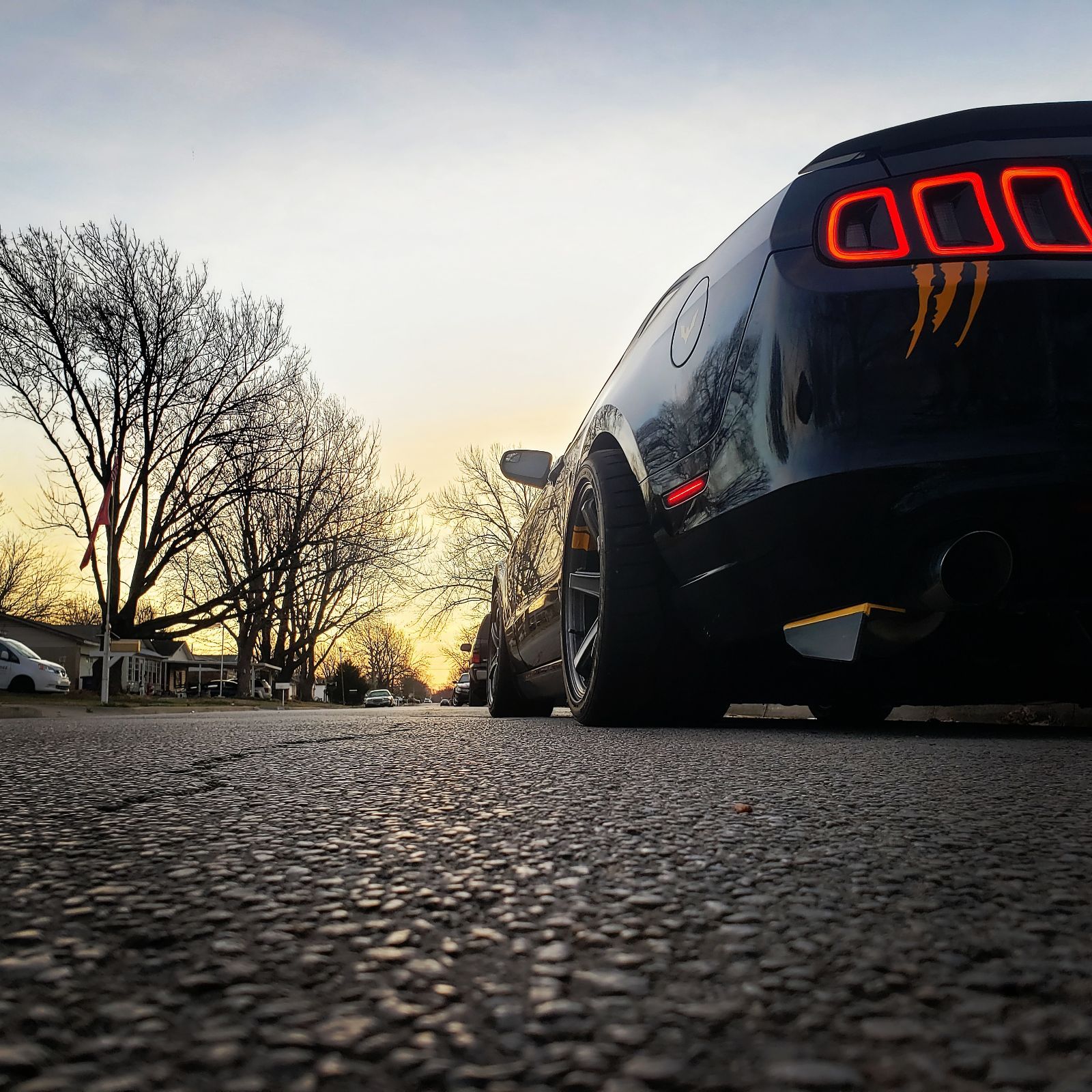 Profile of Eli Rojas